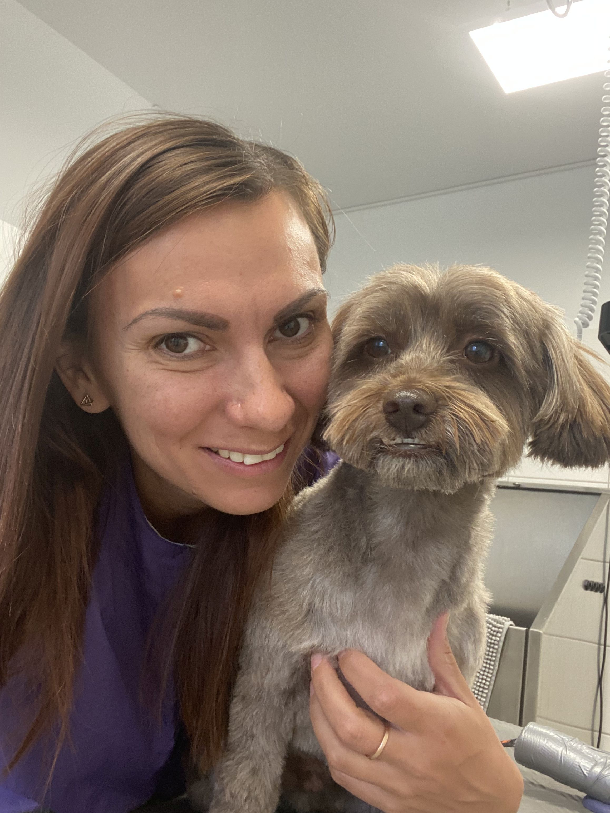 Hundesalon Gigi in Erding - freundliche, ruhige Atmosphäre